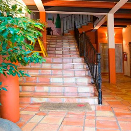 Apartamentos Senorio De Haro 3000 Bagian luar foto